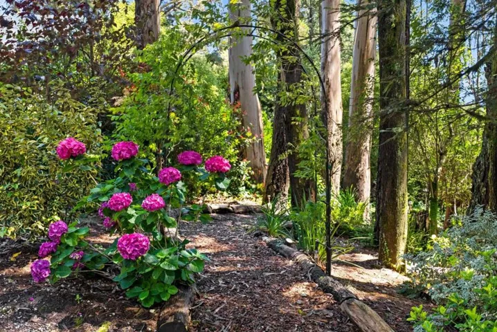 12180 Skyline Boulevard, Woodside, California 94062