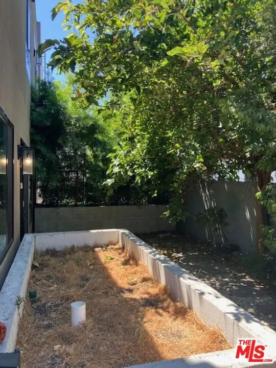Backyard Backyard