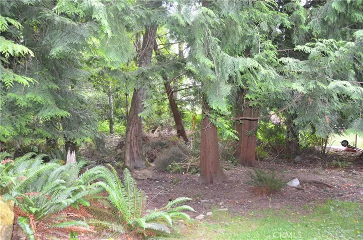 3700 Beazer, Other, California 98226