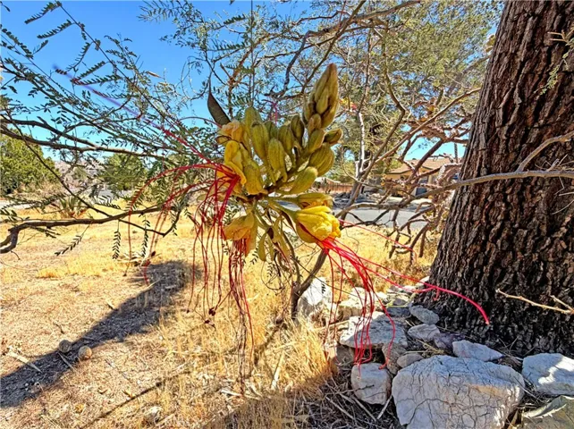 7426 Elata, Yucca Valley, California 92284