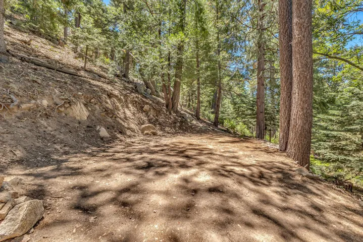 Driveway to House