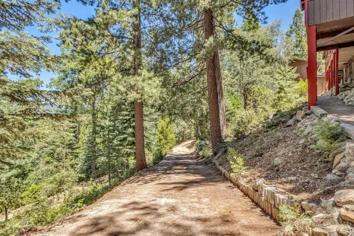 Driveway to House