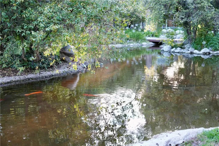 Community Koi