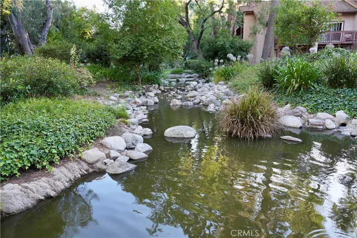 Pond