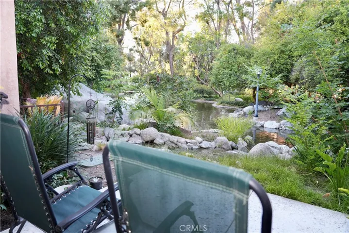 Patio view