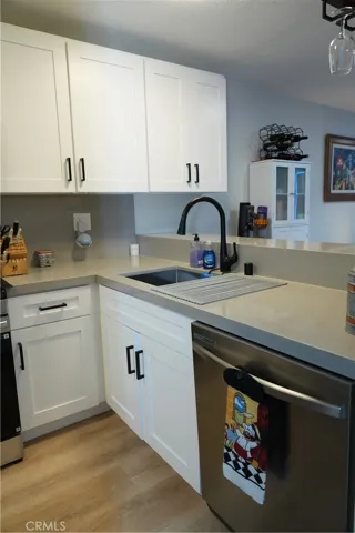 Kitchen sink dishwasher