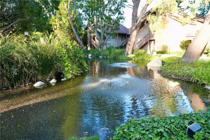 pond