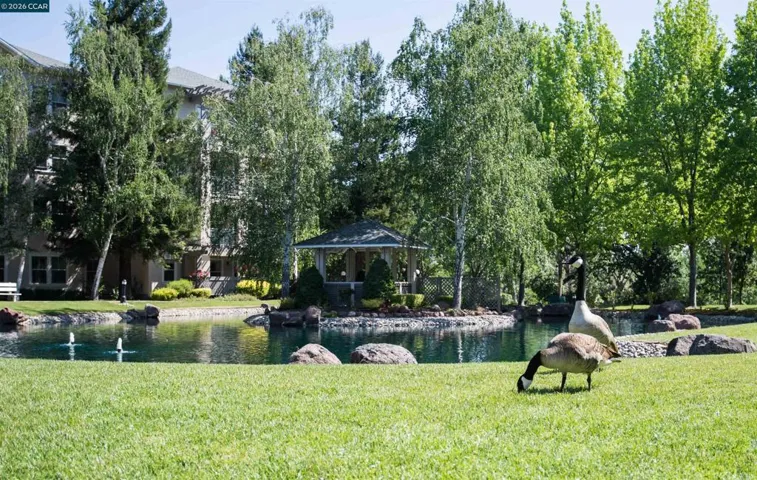 Ponds at the Waterford