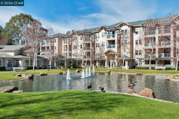 Ponds at the Waterford