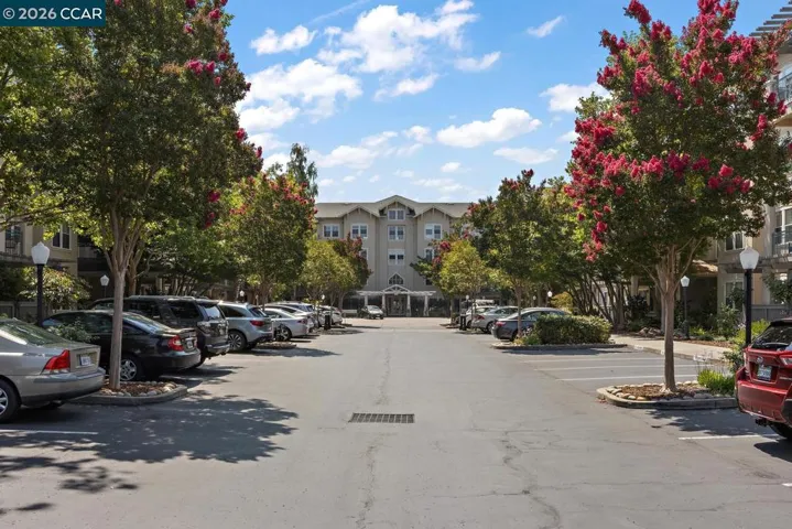 Driveway to 1840 Tice Creek