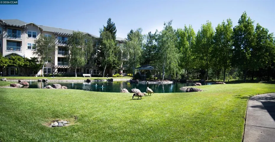 Ponds at the Waterford