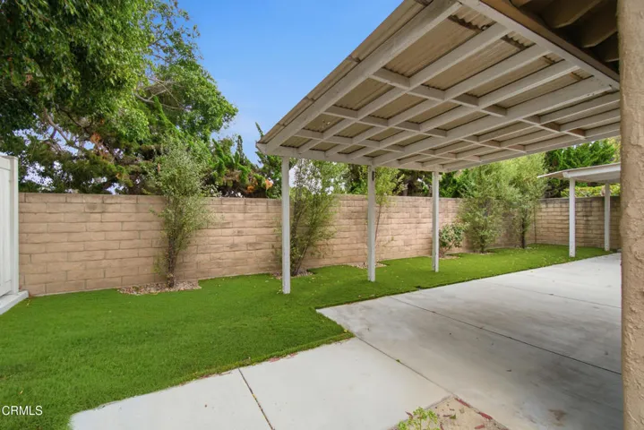 36_backyard