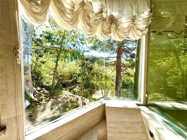 View from bathand shower
