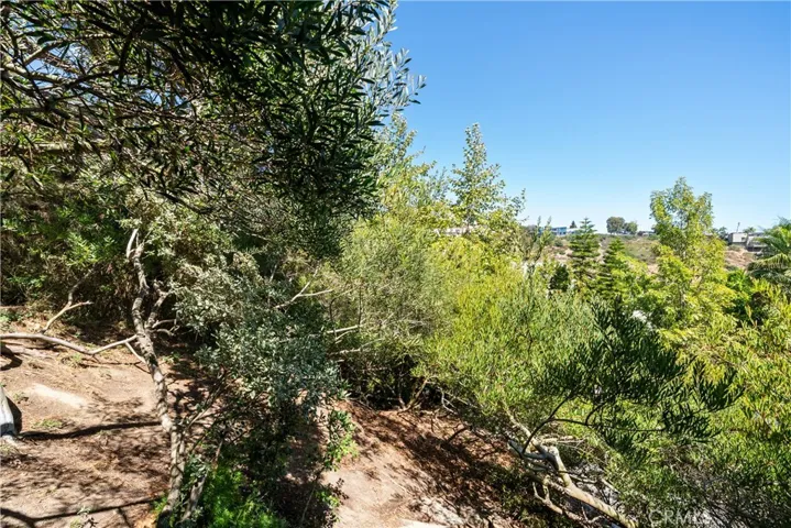 Deck view of the property hillside