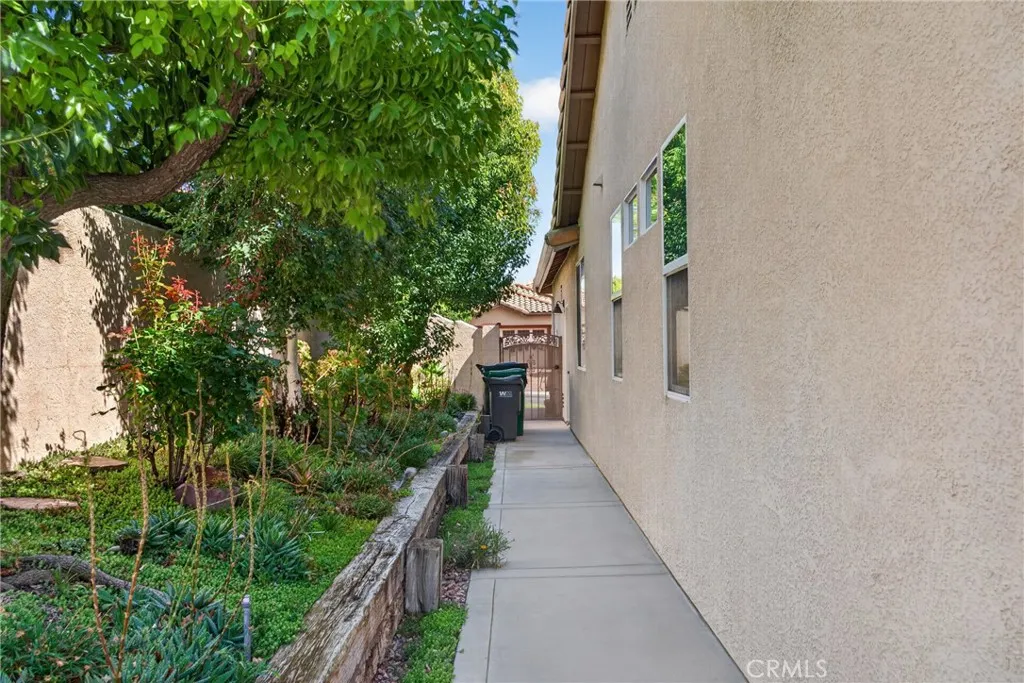 Backyard side area