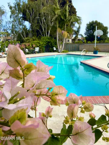 pool boogenvilla