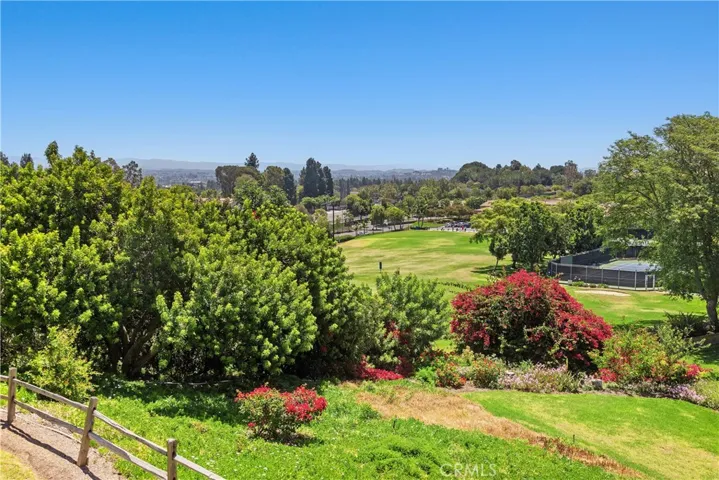 Lush, green surrounding.