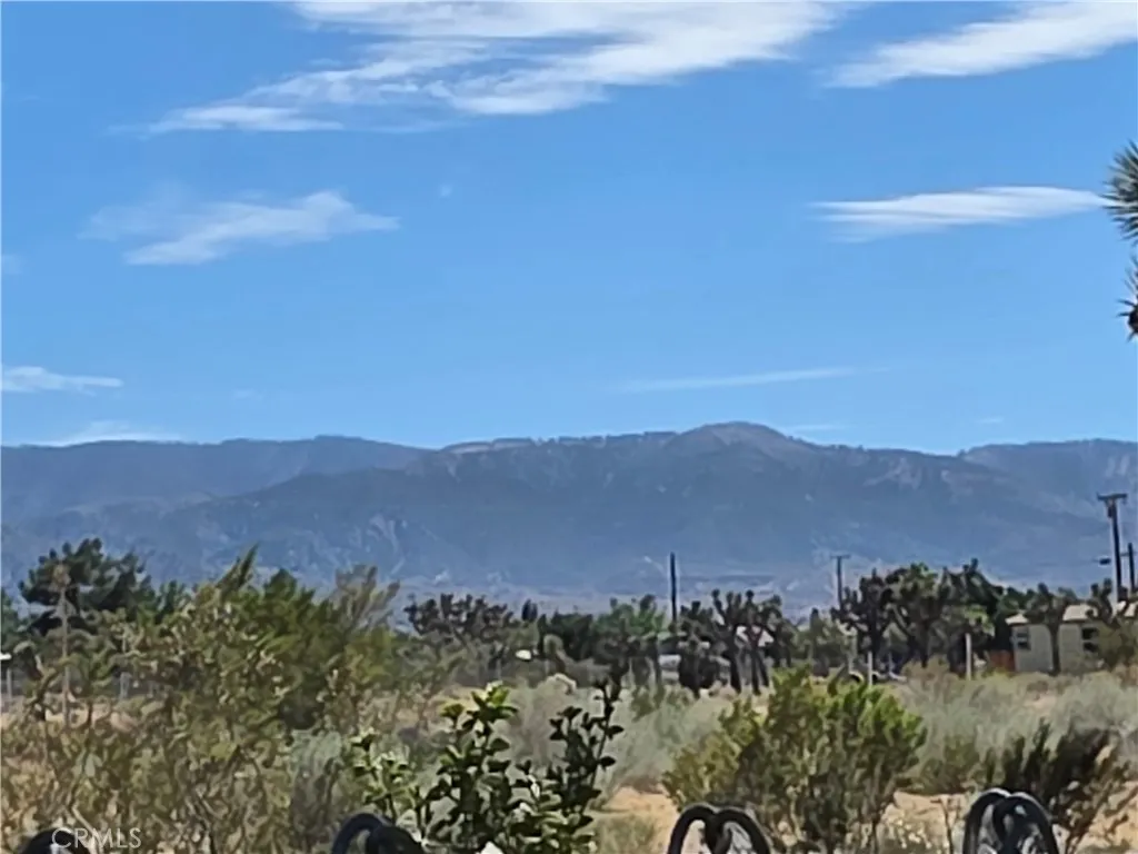 Mountain View from the Rear Yard
