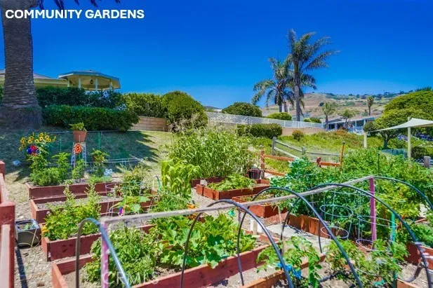 2275 W 25th 199, San Pedro, California 90732