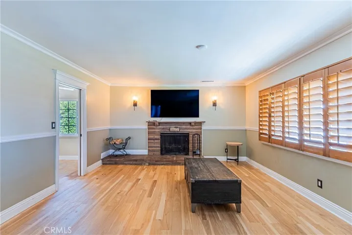 Living room fireplace