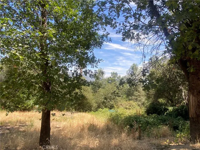 35995 Sierra Linda, Wishon, California 93669