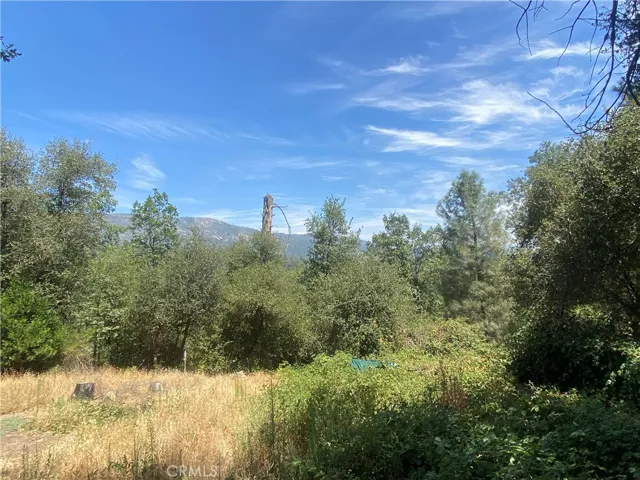 35995 Sierra Linda, Wishon, California 93669