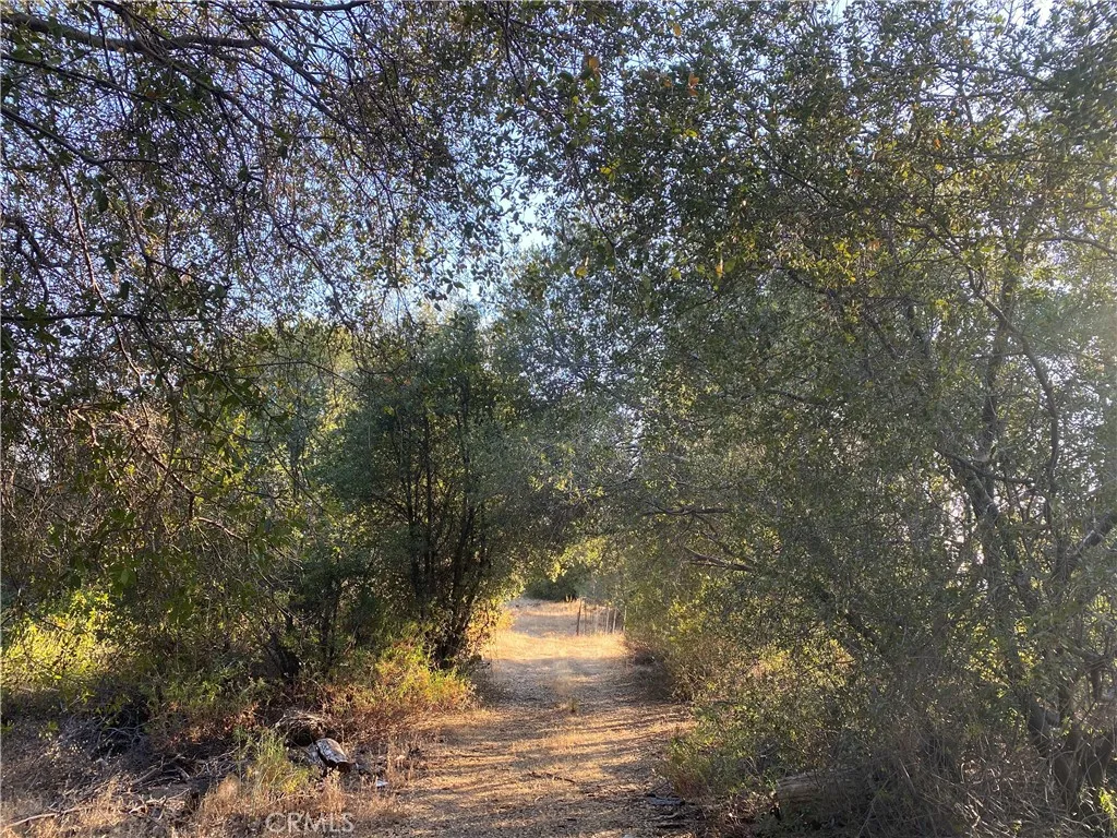 53748 Dogwood, North Fork, California 93643 — photo 4