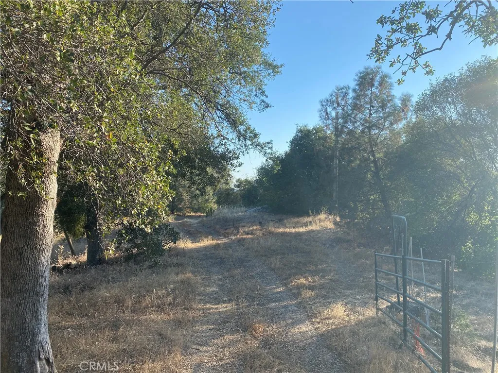 53748 Dogwood, North Fork, California 93643 — photo 5