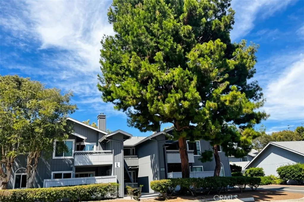 Mature shade trees at Building L