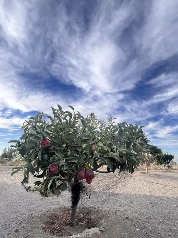 10624 Nugget, Phelan, California 92371