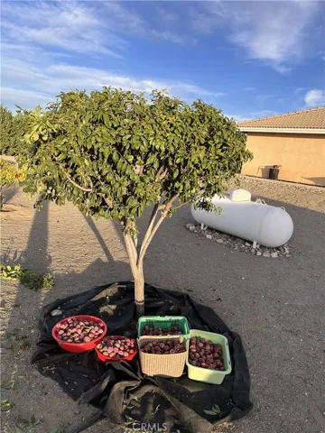 10624 Nugget, Phelan, California 92371