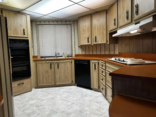 29258 Whalebone Way, Hayward, California 94544