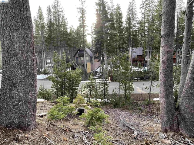 7217 Palisade Road, Soda Springs, California 95728
