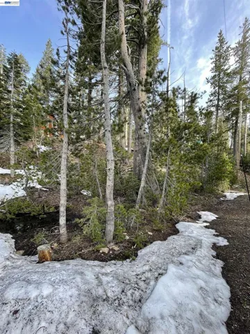 7217 Palisade Road, Soda Springs, California 95728