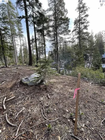 7217 Palisade Road, Soda Springs, California 95728