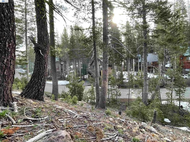 7217 Palisade Road, Soda Springs, California 95728