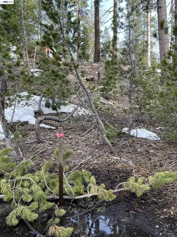 7217 Palisade Road, Soda Springs, California 95728