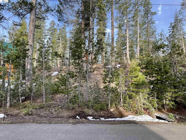 7217 Palisade Road, Soda Springs, California 95728