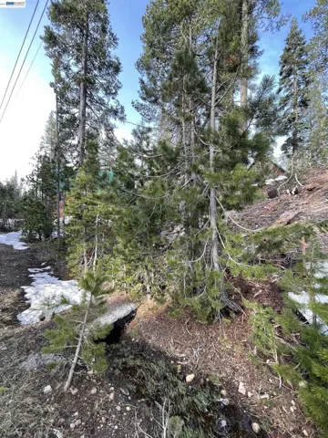 7217 Palisade Road, Soda Springs, California 95728