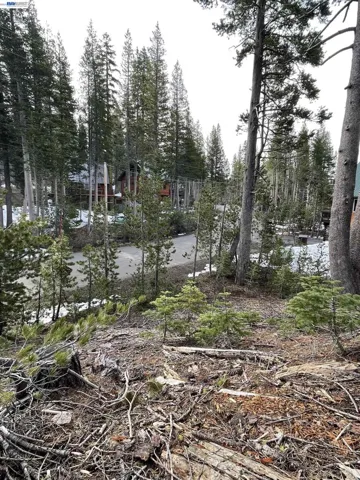 7217 Palisade Road, Soda Springs, California 95728