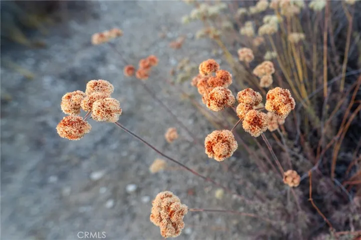 382 Unnamed Off 79, Warner Springs, California 92086