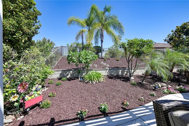 Low maintenance backyard