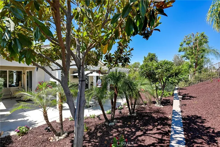 Beautiful trees