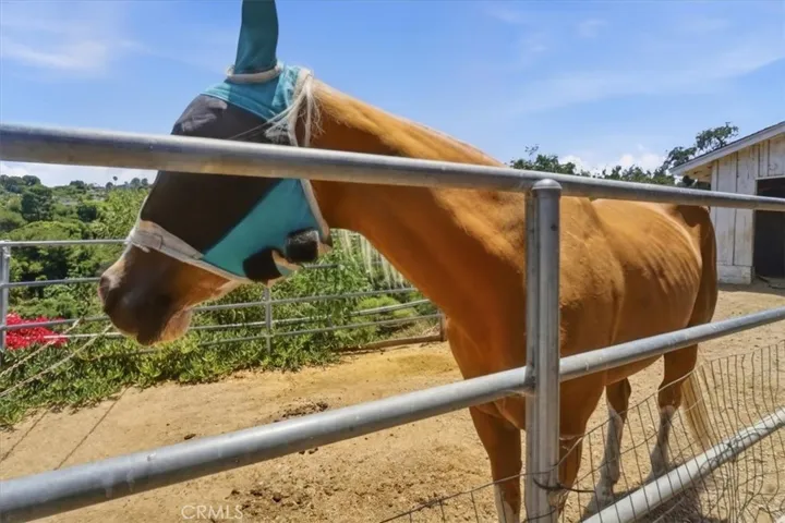 41 Hitching Post, Palos Verdes Peninsula, California 90274