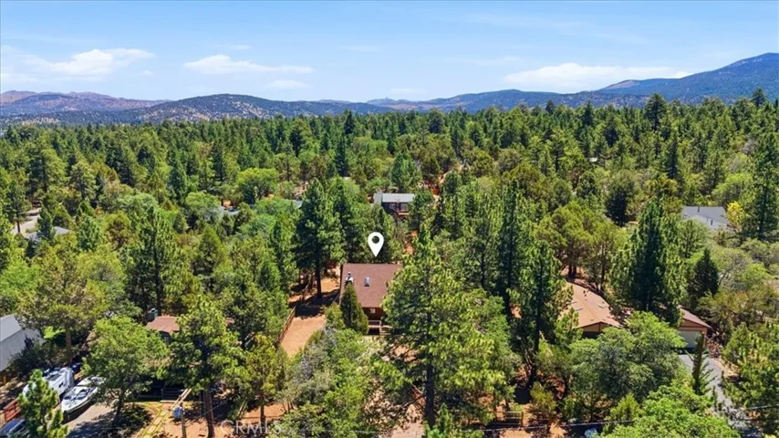 Surrounded by breathtaking trees