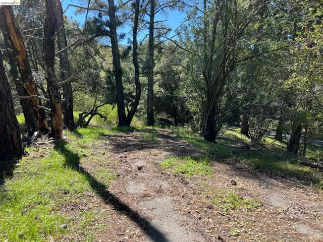 58 Zander Court, Orinda, California 94563