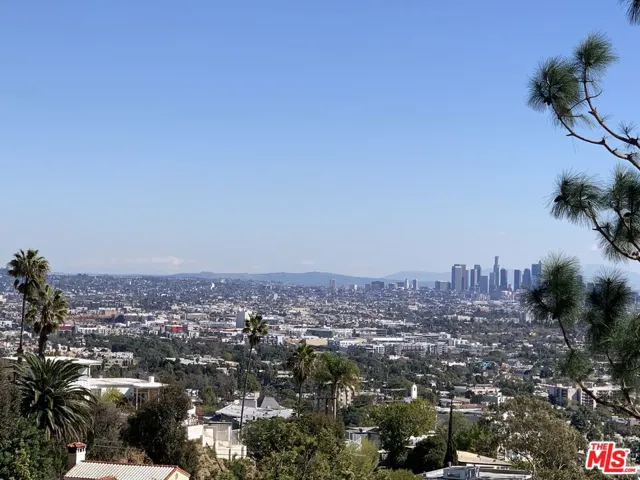View From Kitchen