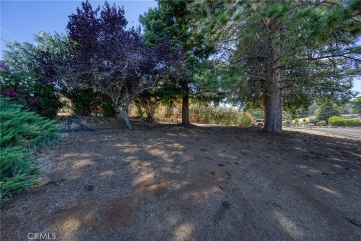 nice space currently unfenced area