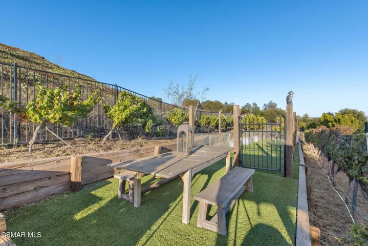 Vineyard