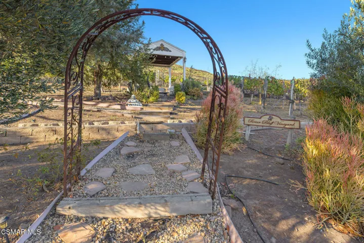 Entry To Vineyard